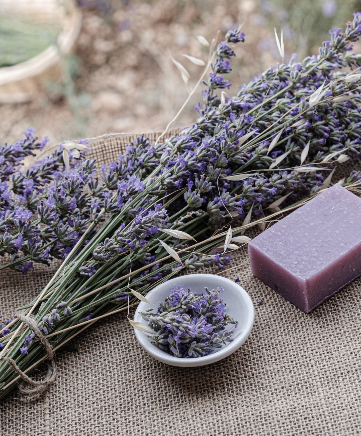 コンセプトイメージ